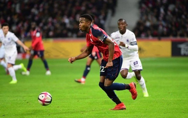 运动员在逆 运动员在逆